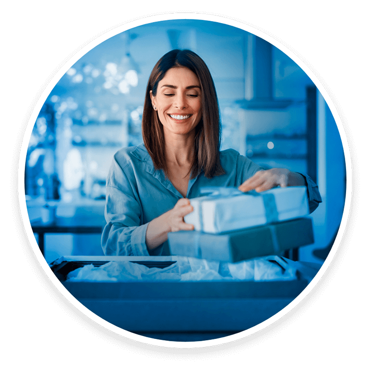 programa de incentivos programa de incentivos